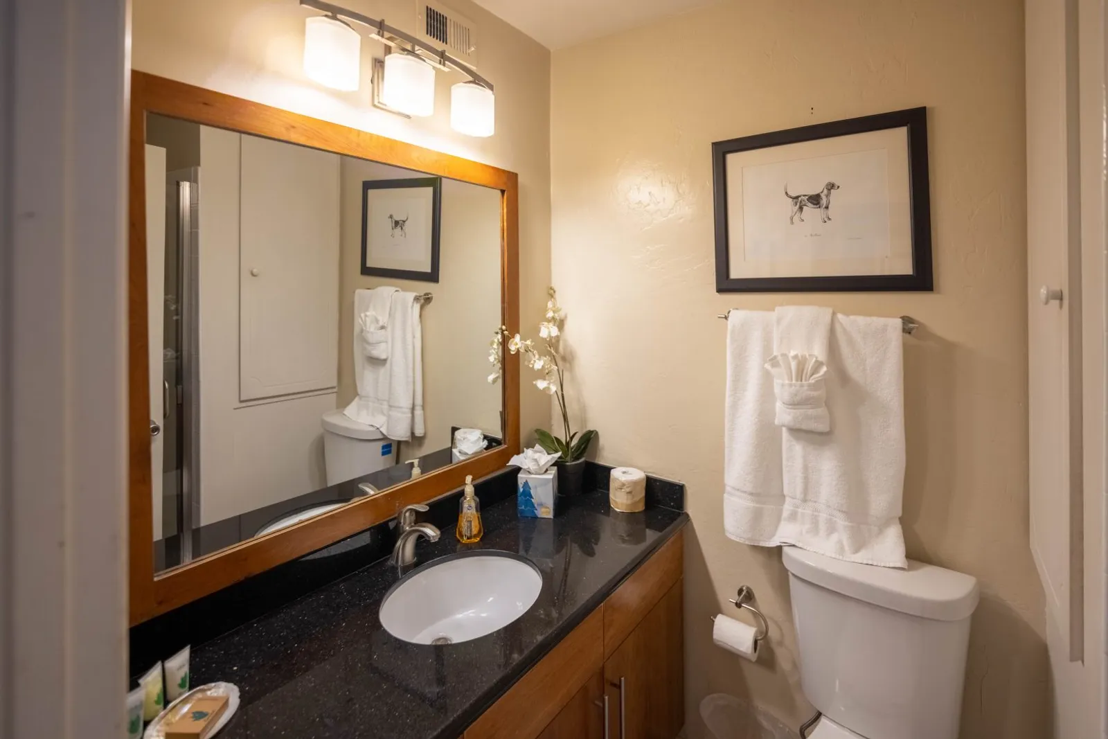 Villa 4 - Two Bedroom
